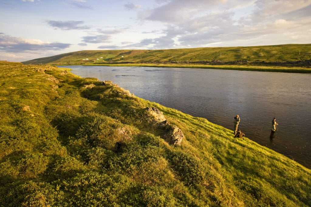 Laxardal, Iceland, Aardvark McLeod
