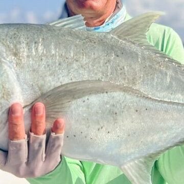 Cosmoledo Atoll, saltwater fly fishing, Seychelles