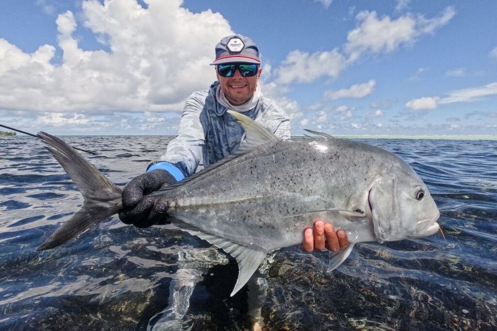 Alphonse Island giant trevally
