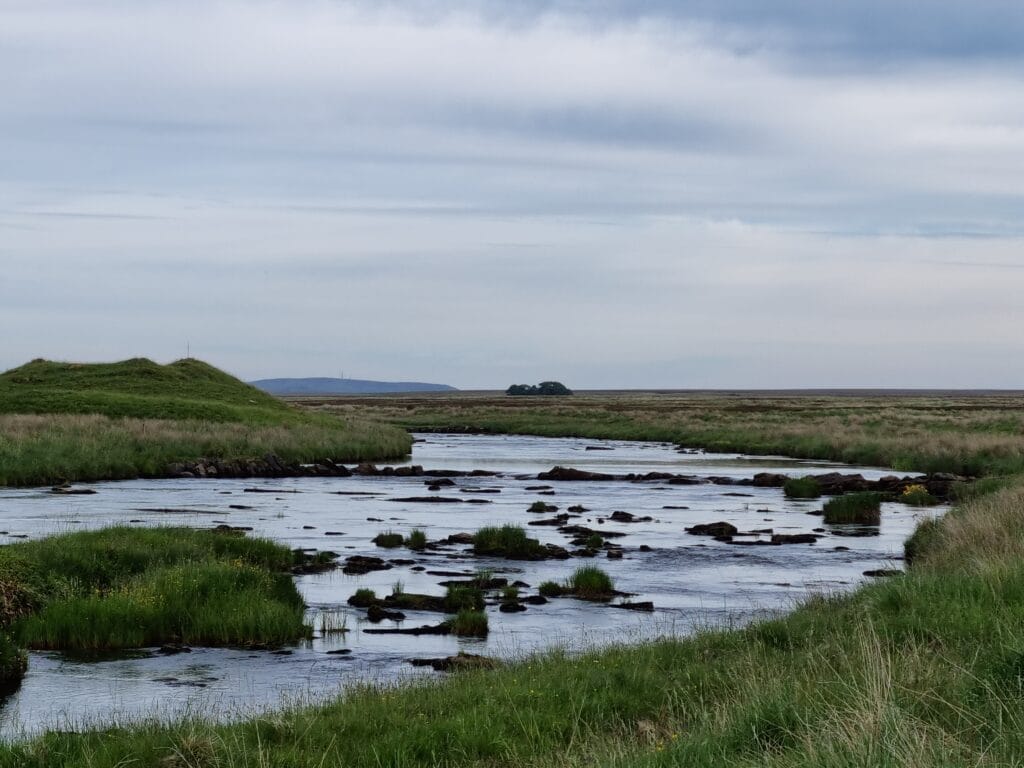 Thurso like Iceland