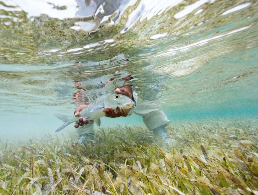 Flyfish Guanaja Lodge, Honduras two lodges, one world class fishery 