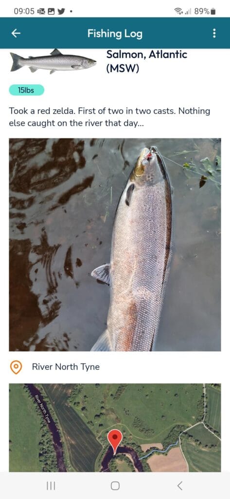 Tyne fish, finScribe