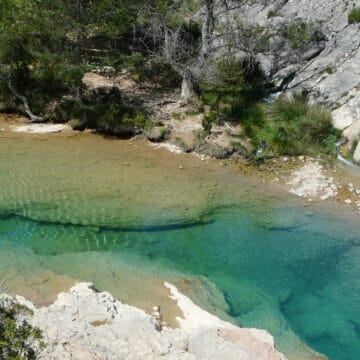 Salvelinus Aren Spanish Pyrenees, Zebra Trout, trout fishing, fishing in the Pyrenees, Aardvark McLeod, Spain