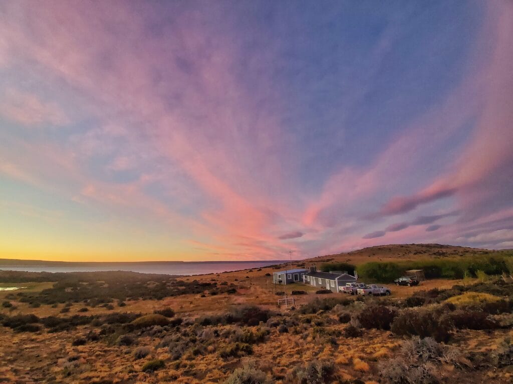 Lago Strobel Lodge, Jurassic Lake, Lago Strobel, Argentina fly fishing, Argentina rainbow trout, Jurassic trout, Aardvark McLeod