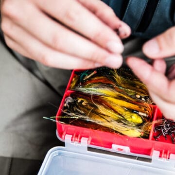 Camp Onka, Baltic salmon, Aardvark McLeod