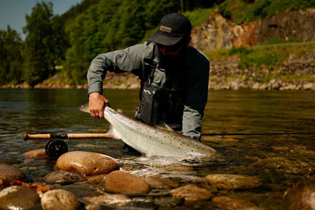 Gaula River, Norwegian Flyfishers Club, NFC, Norway, Atlantic salmon