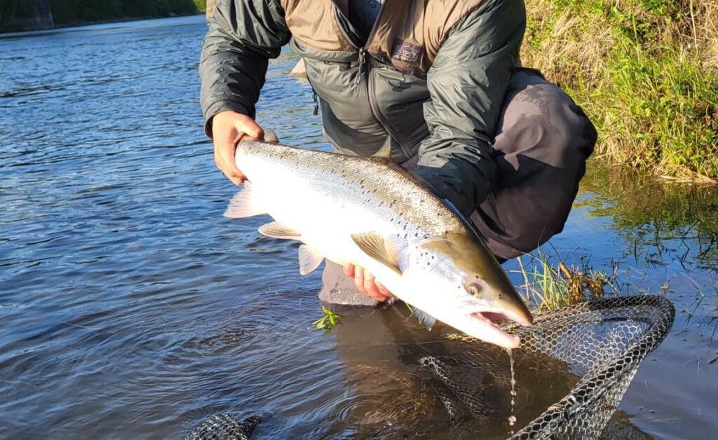 Namsentunet Fly Fishing Lodge, Namsen, Norway, fly fishing Norway, salmon fly fishing, Aardvark McLeod