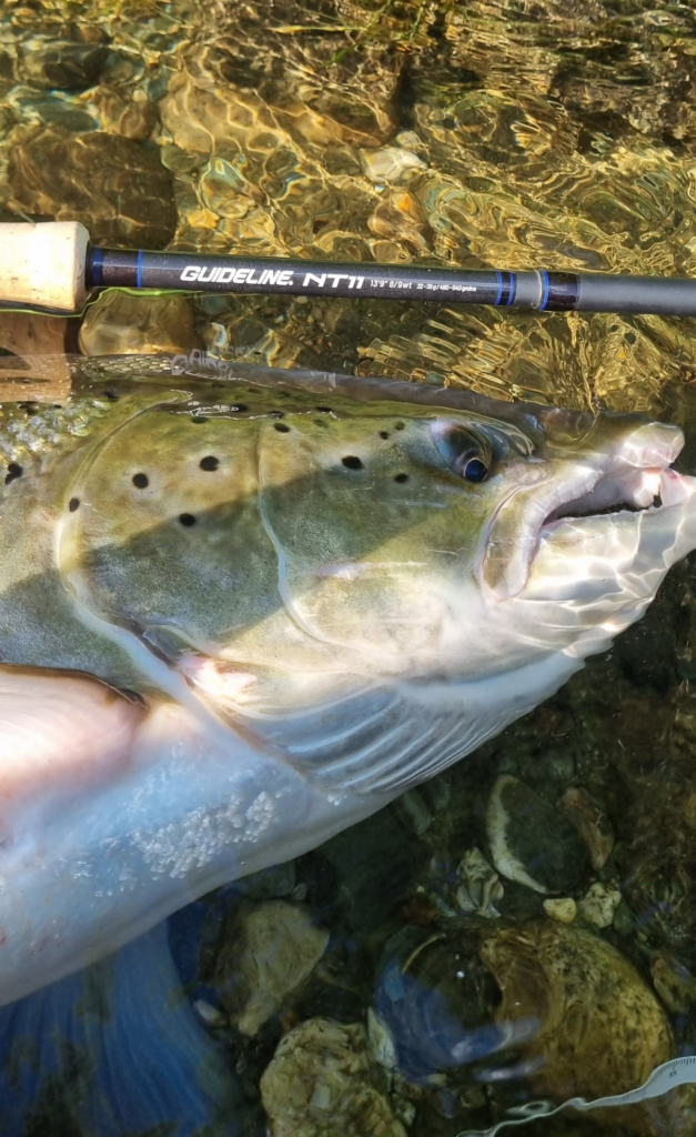 Salmon Fishing Norway, Orkla River Norway, Fly Fishing Norway, Aardvark McLeod Norway