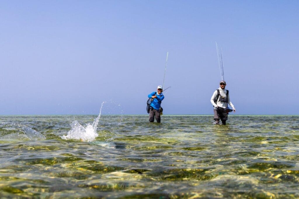 Farasan Banks, Saudi Arabia, Gerhsard Laubscher, Aardvark McLeod,