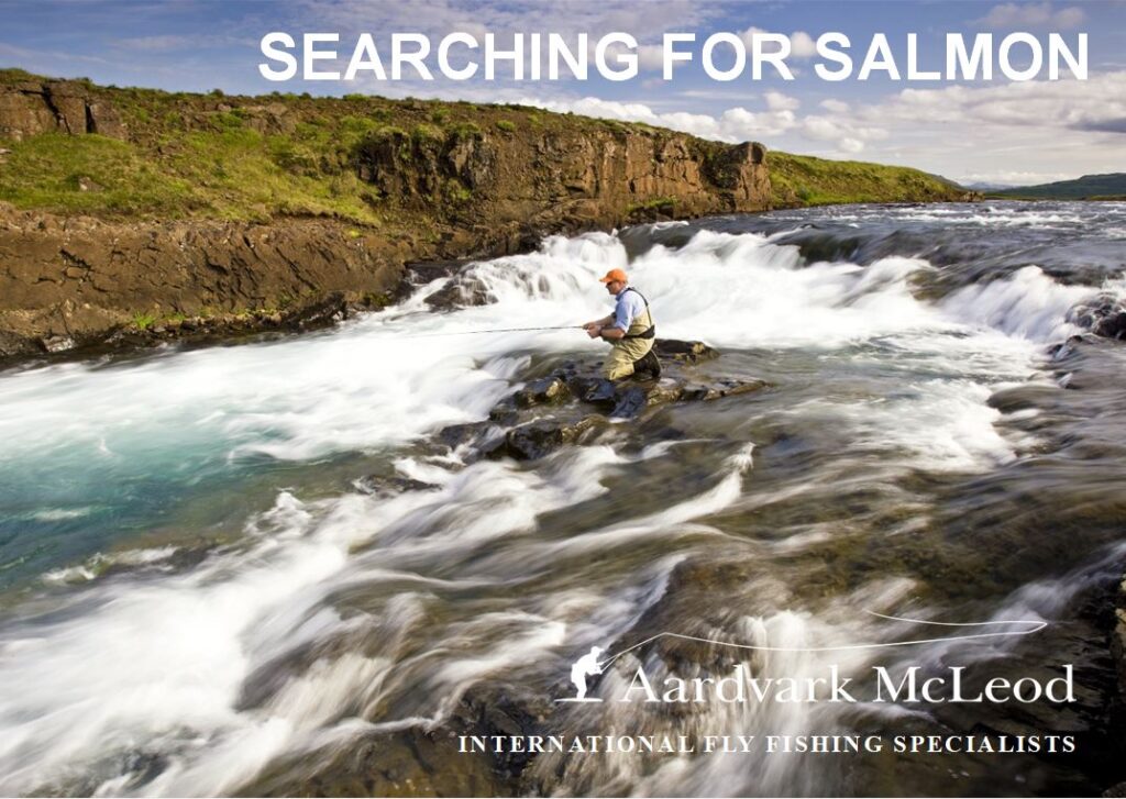 Searching for salmon publication 