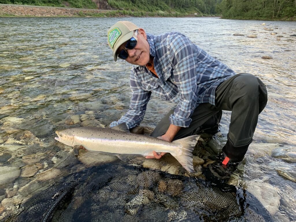 Gaula River Norway, Winsnes Lodge Norway, Atlantic salmon Norway, Salmon Fly Fishing Norway