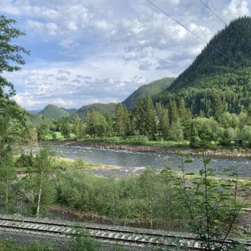 Gaula River Norway, Winsnes Lodge Norway, Atlantic salmon Norway, Salmon Fly Fishing Norway