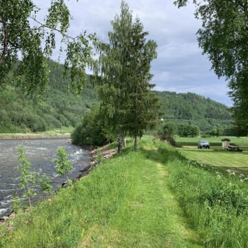Gaula River Norway, Winsnes Lodge Norway, Atlantic salmon Norway, Salmon Fly Fishing Norway