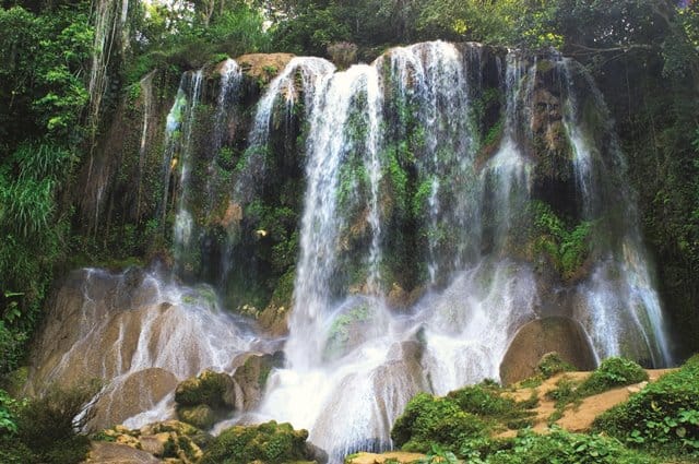 Wild Cuba a Caribbean journey