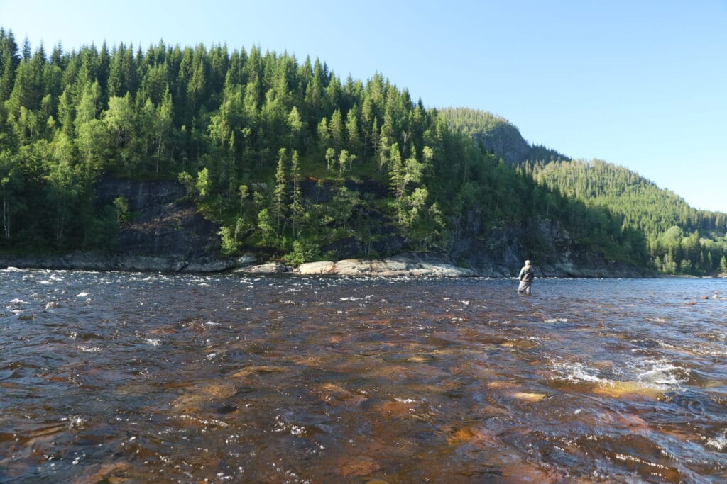 Namsentunet Fly Fishing Lodge, Namsen, Norway, fly fishing Norway, salmon fly fishing, Aardvark McLeod