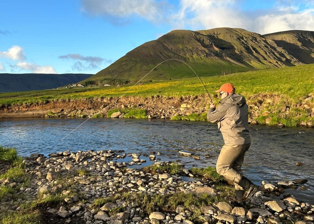 Laxa I Kjos, Iceland, Aardvark McLeod