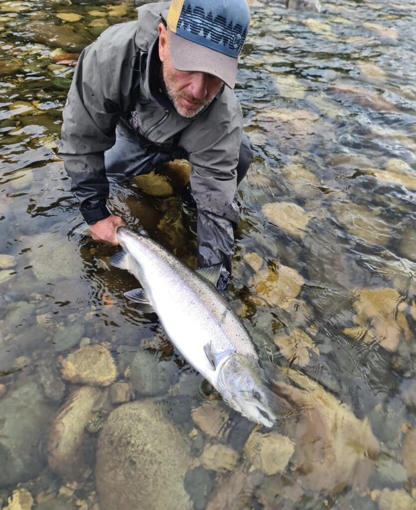 Gaula River, Norwegian Flyfishers Club, NFC, Norway, Atlantic salmon