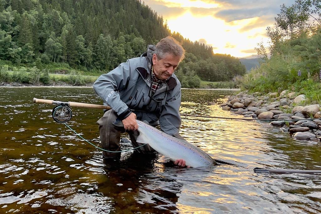 Gaula River, Norwegian Flyfishers Club, NFC, Norway, Atlantic salmon