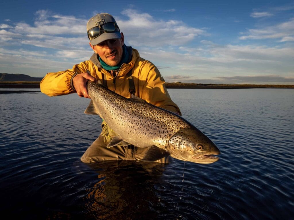 Battle Hill Lodge, Iceland, Aardvark McLeod