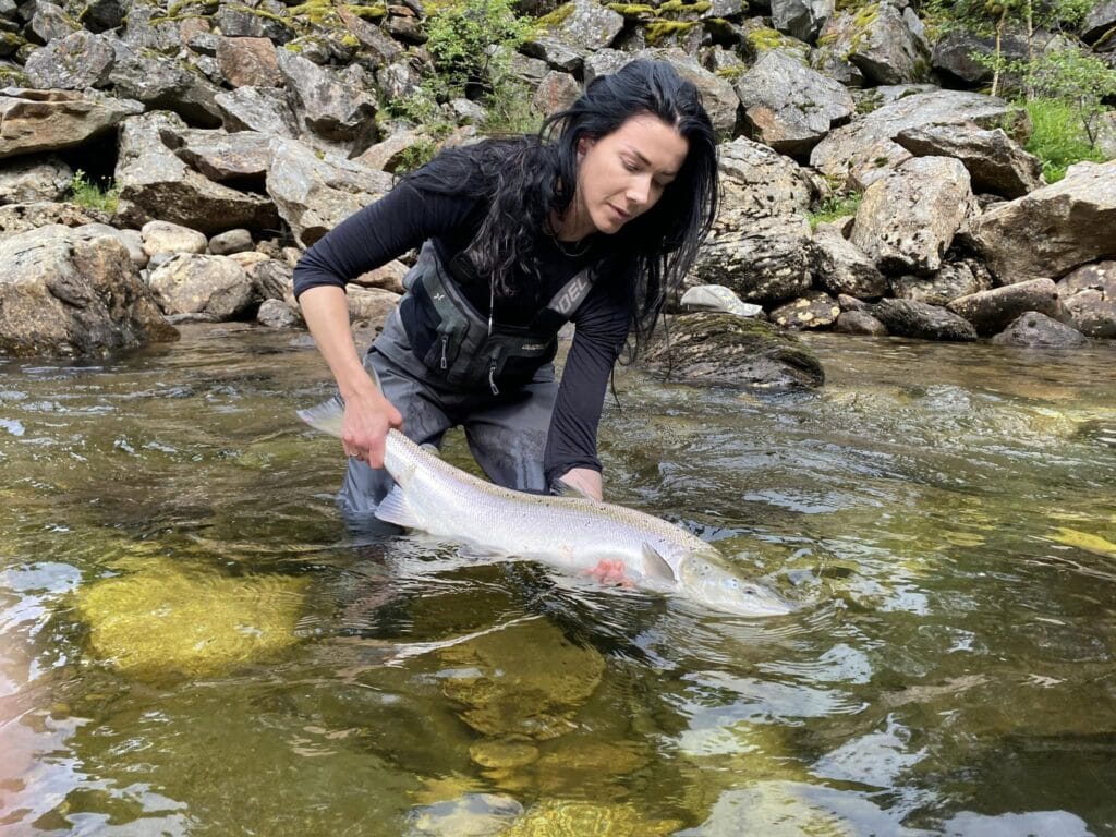 Gaula River Norway, Winsnes Lodge Norway, Atlantic salmon Norway, Salmon Fly Fishing Norway