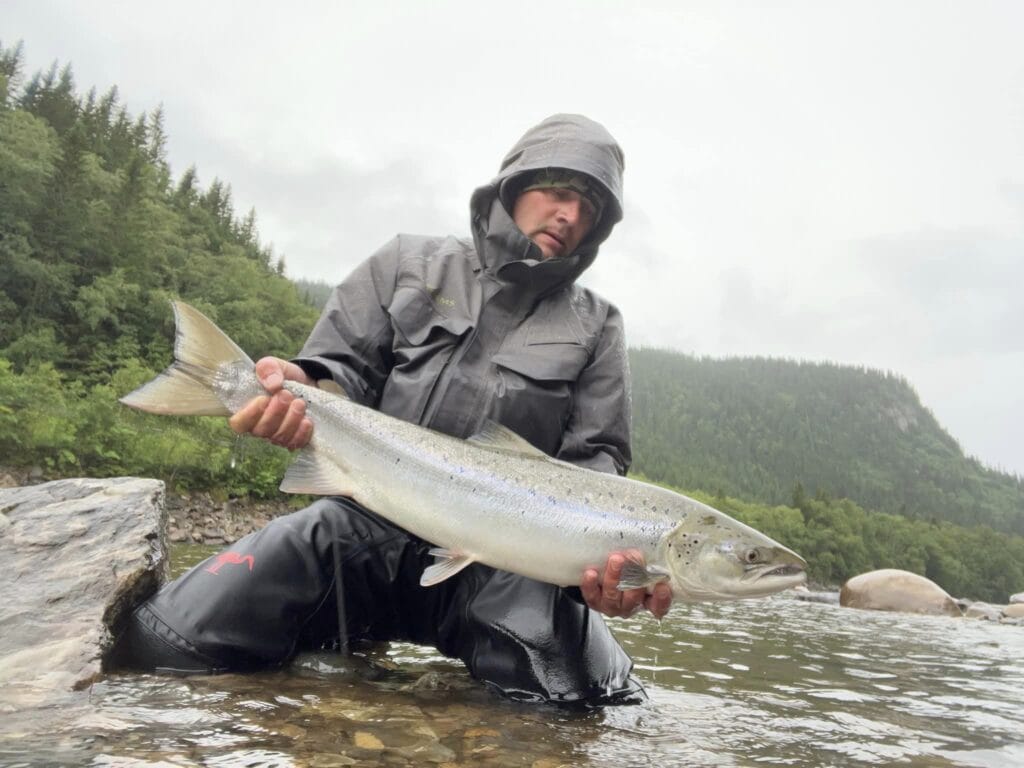 Gaula River Norway, Winsnes Lodge Norway, Atlantic salmon Norway, Salmon Fly Fishing Norway