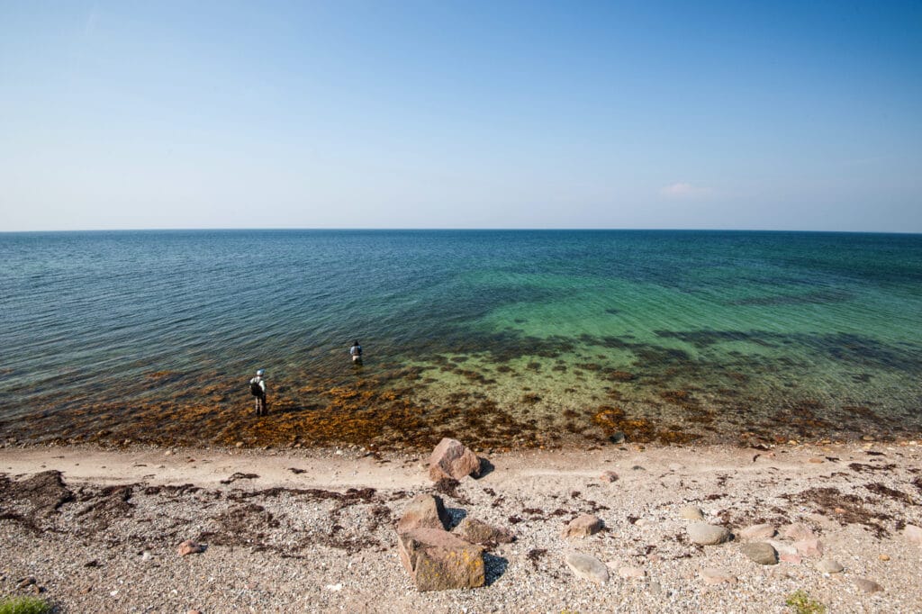 Denmark sea trout fishing, Denmark sea trout fishing lodge, Aardvark McLeod