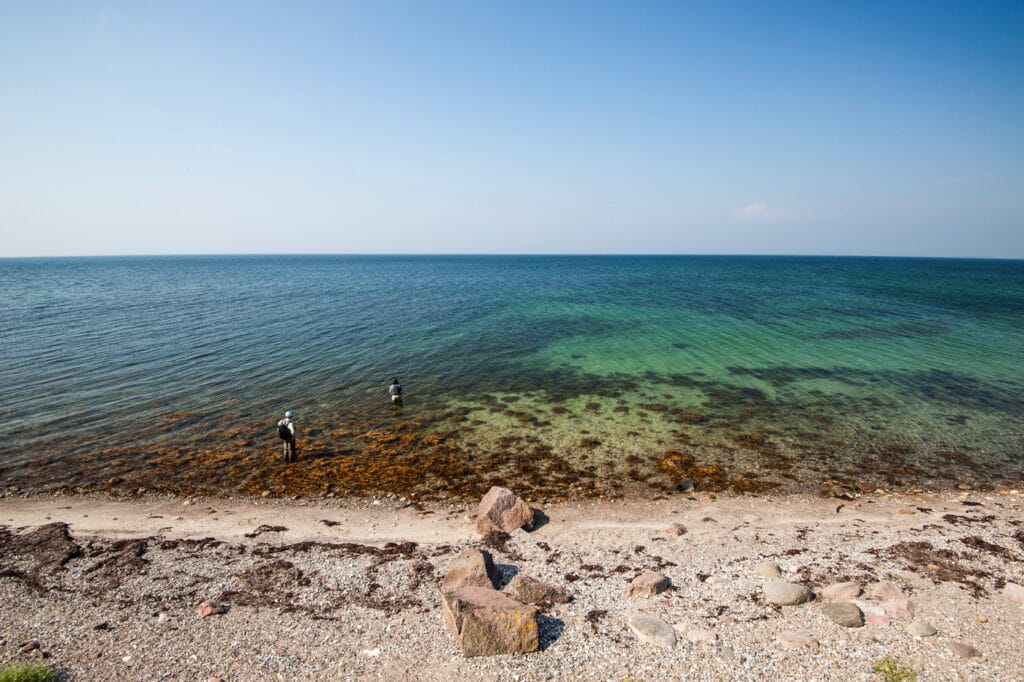 Denmark sea trout fishing, Denmark sea trout fishing lodge, Aardvark McLeod
