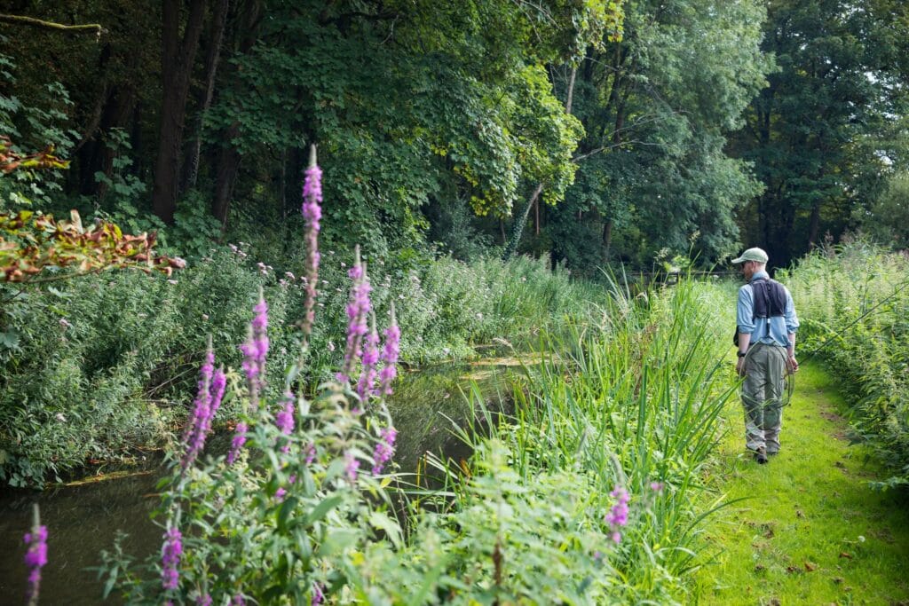 Testcombe River Test, Chalkstream Fly Fishing, Aardvark McLeod