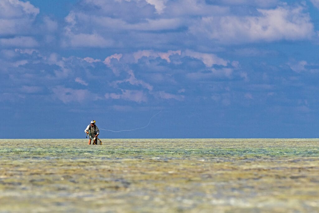 Bonefish, St Brandons, Mauritius, Aardvark McLeod