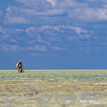 Bonefish, St Brandons, Mauritius, Aardvark McLeod