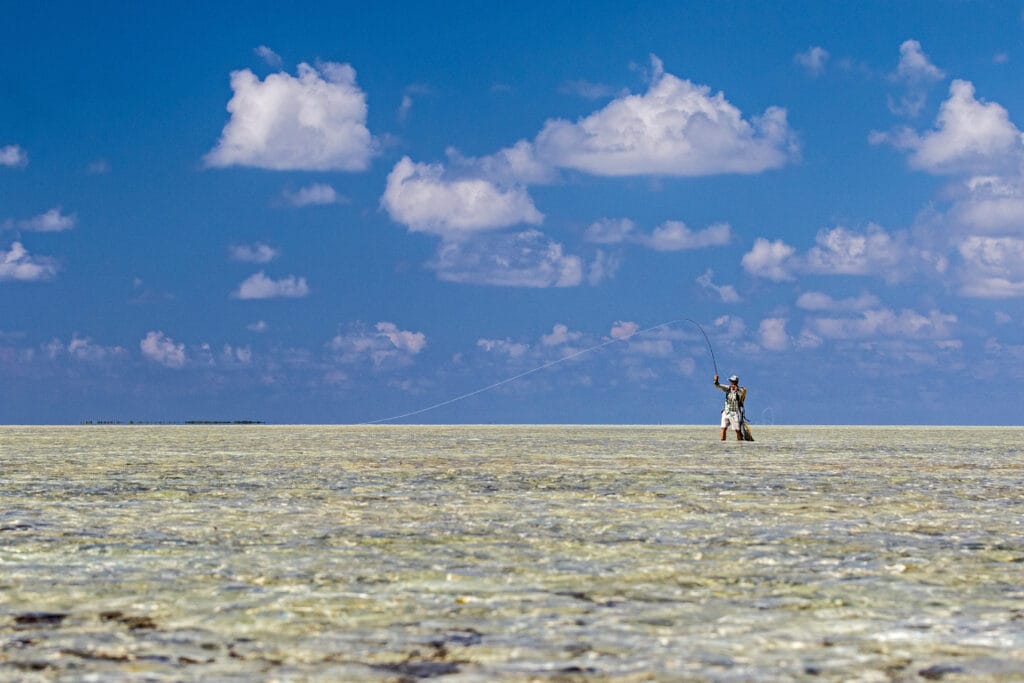 Bonefish, St Brandons, Mauritius, Aardvark McLeod