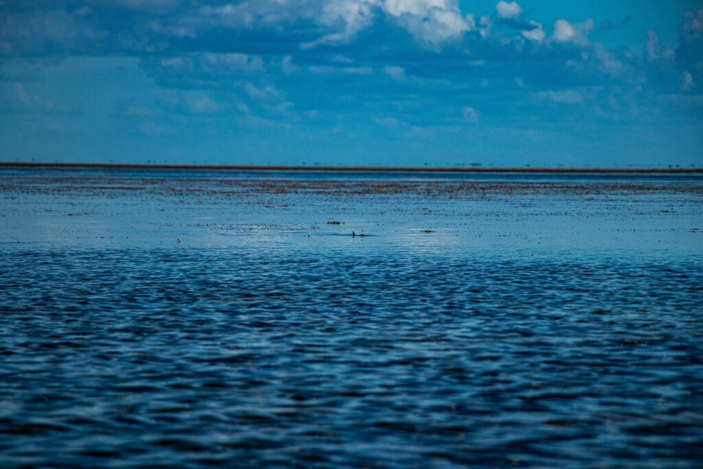 Jardines de la Reina, Cuba Fly Fishing, Jardines Avalon IV, Bonefish, Tarpon, Permit