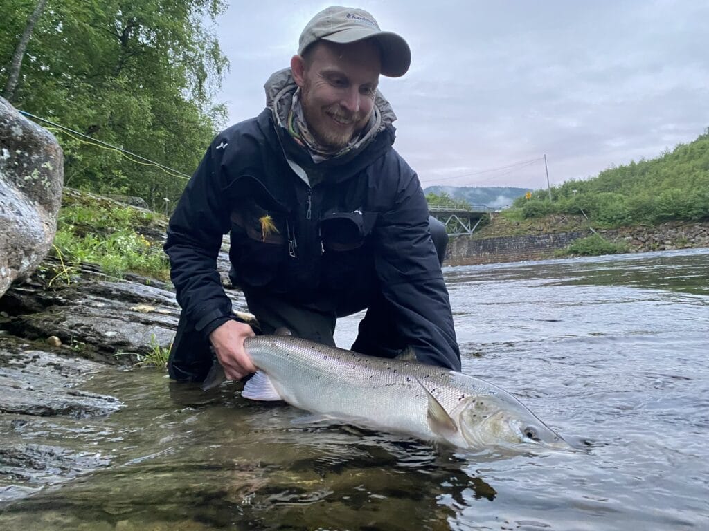 Gaula River Norway, Winsnes Lodge Norway, Atlantic salmon Norway, Salmon Fly Fishing Norway