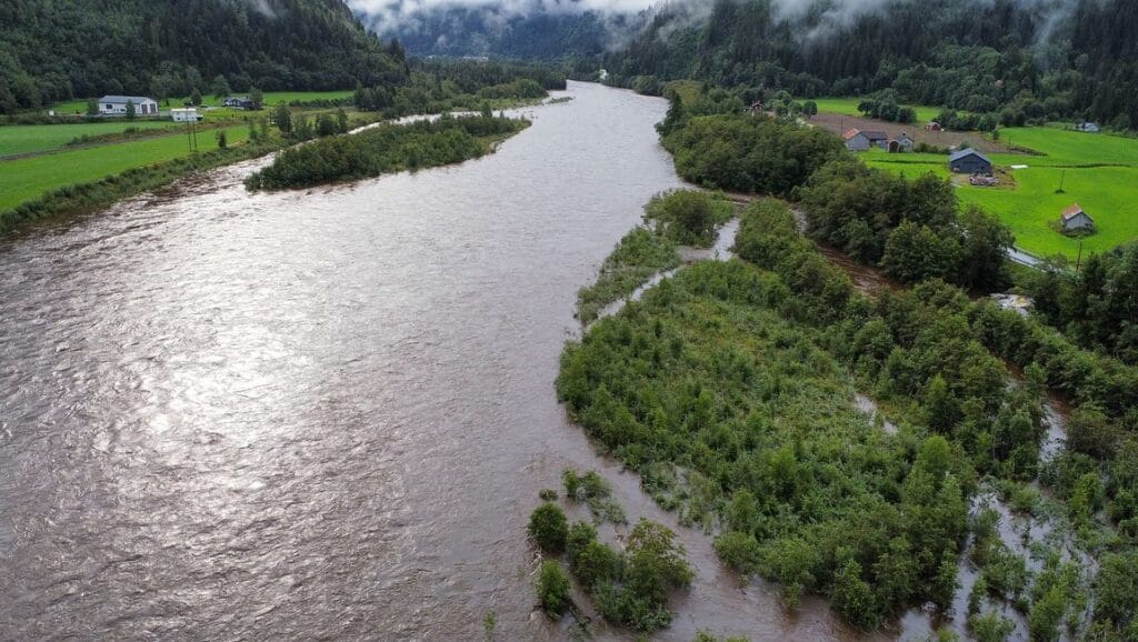 Gaula River, Norwegian Flyfishers Club, NFC, Norway, Atlantic salmon