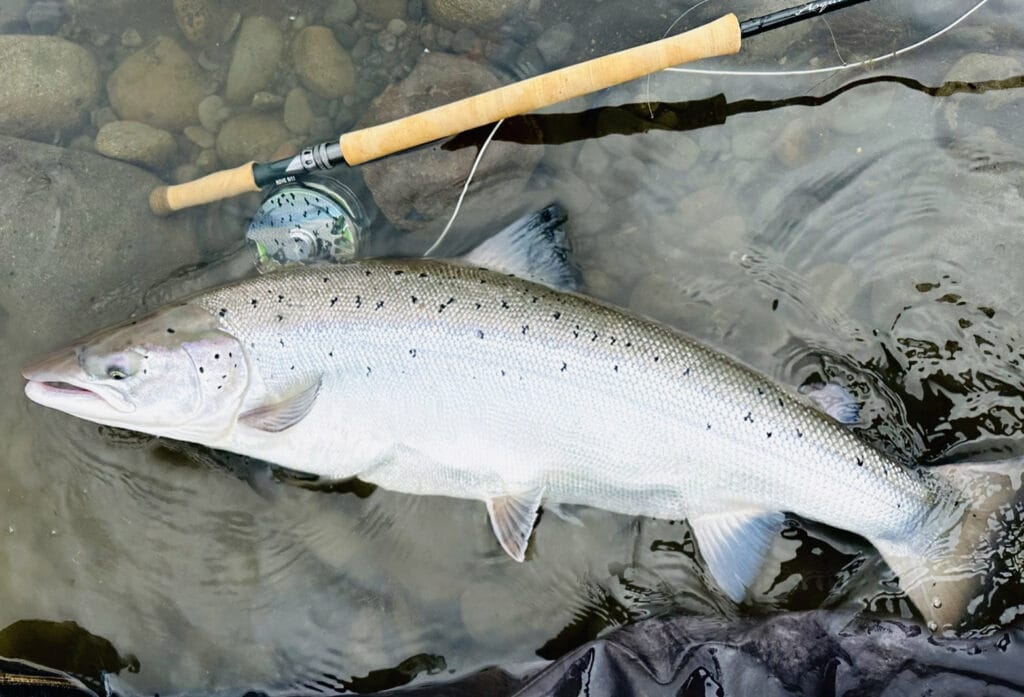 Oldero Fly Fishing Lodge, Lakselv, Norway, fly fishing Norway, salmon fly fishing, Aardvark McLeod