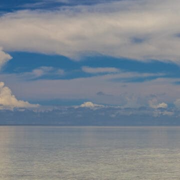 Bonefish, Indian Ocean, Aardvark McLeod