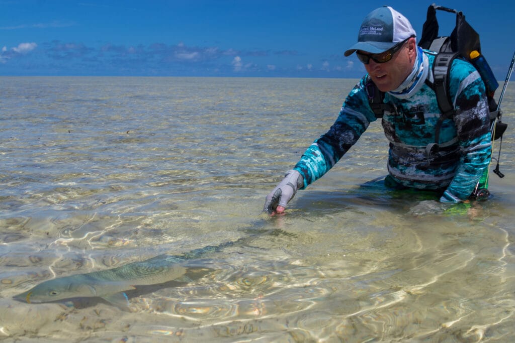 Bonefish, Indian Ocean, Aardvark McLeod