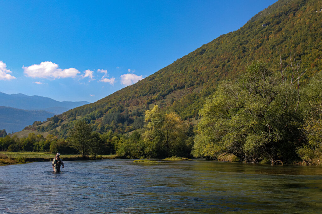 Bosnia, Fly Fishing, Brown Trout, dry fly fishing, grayling, Ribnik, Pliva, dry fly fishing