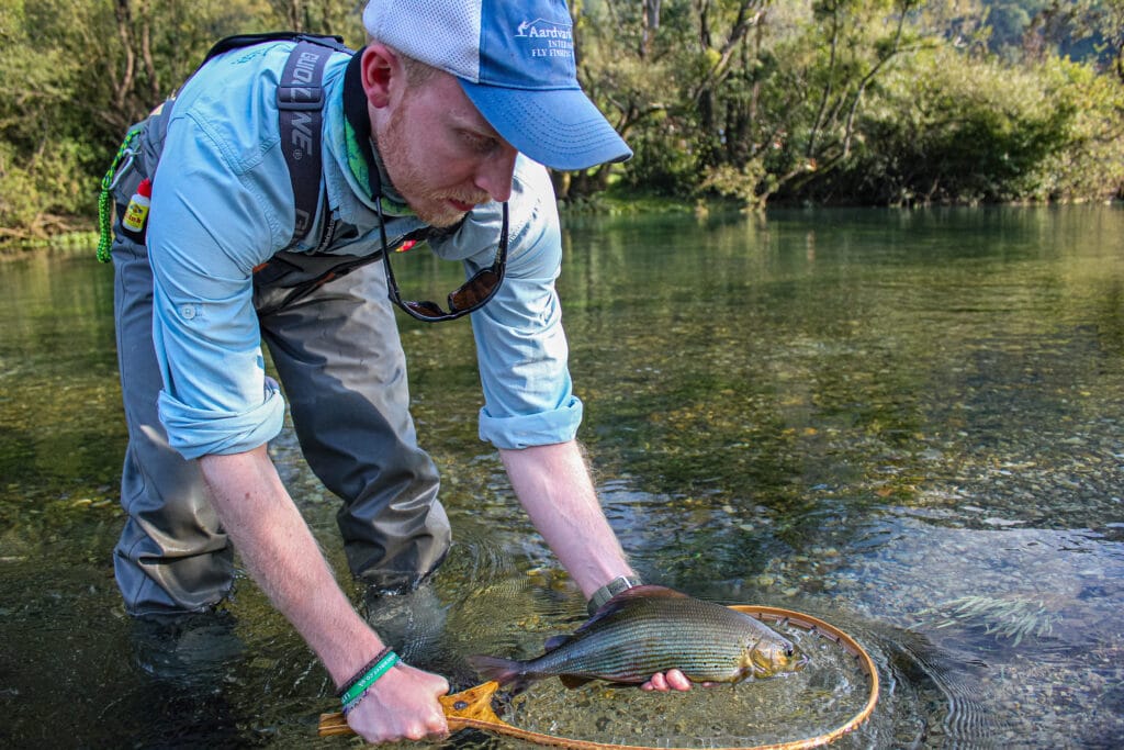 Bosnia, Fly Fishing, Brown Trout, dry fly fishing, grayling, Ribnik, Pliva, dry fly fishing