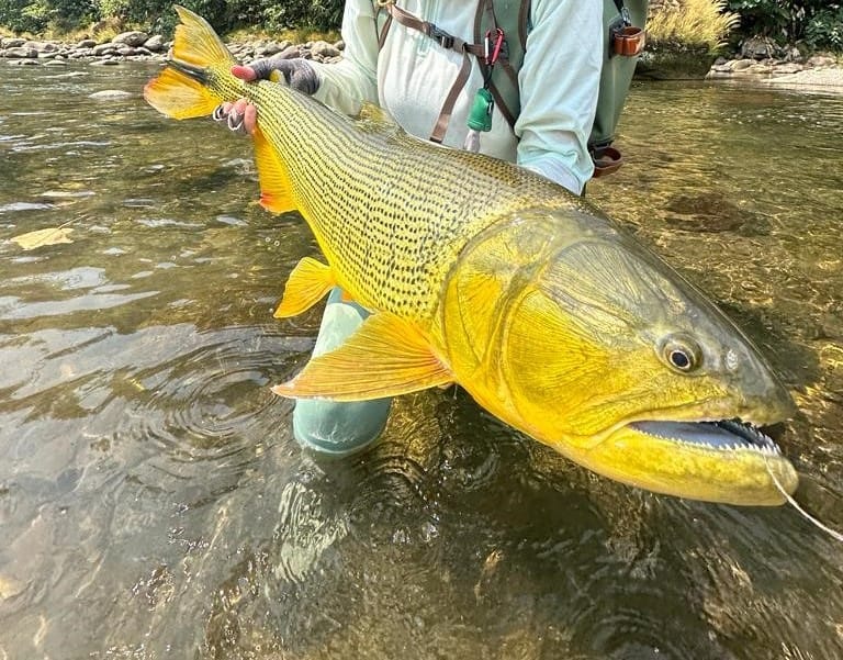 Bolivia 2023 fishing reports