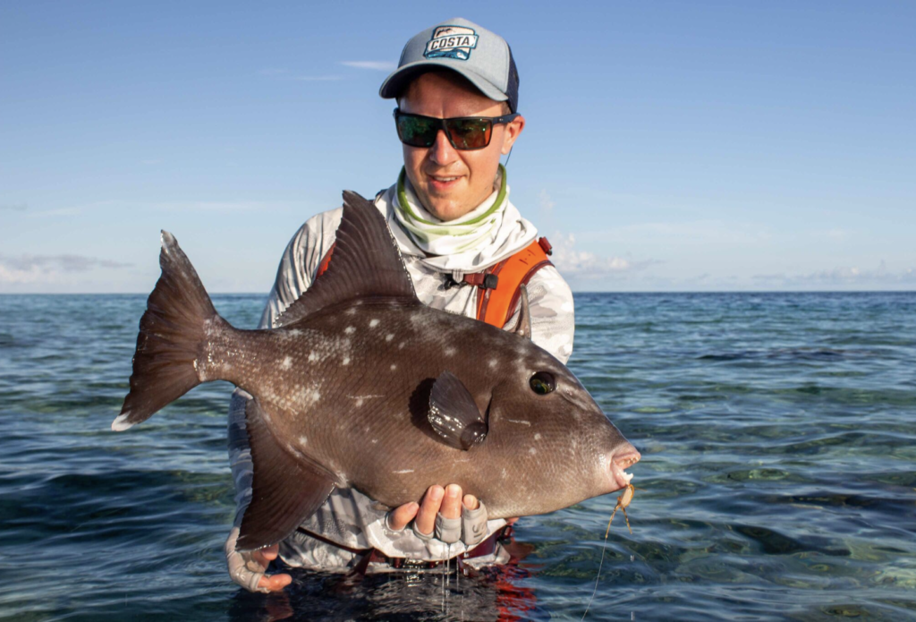 Triggerfish, Los Roques, Venezuela, Aardvark McLeod