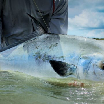 Mayazul Lodge, Mexico permit fishing, Aardvark McLeod