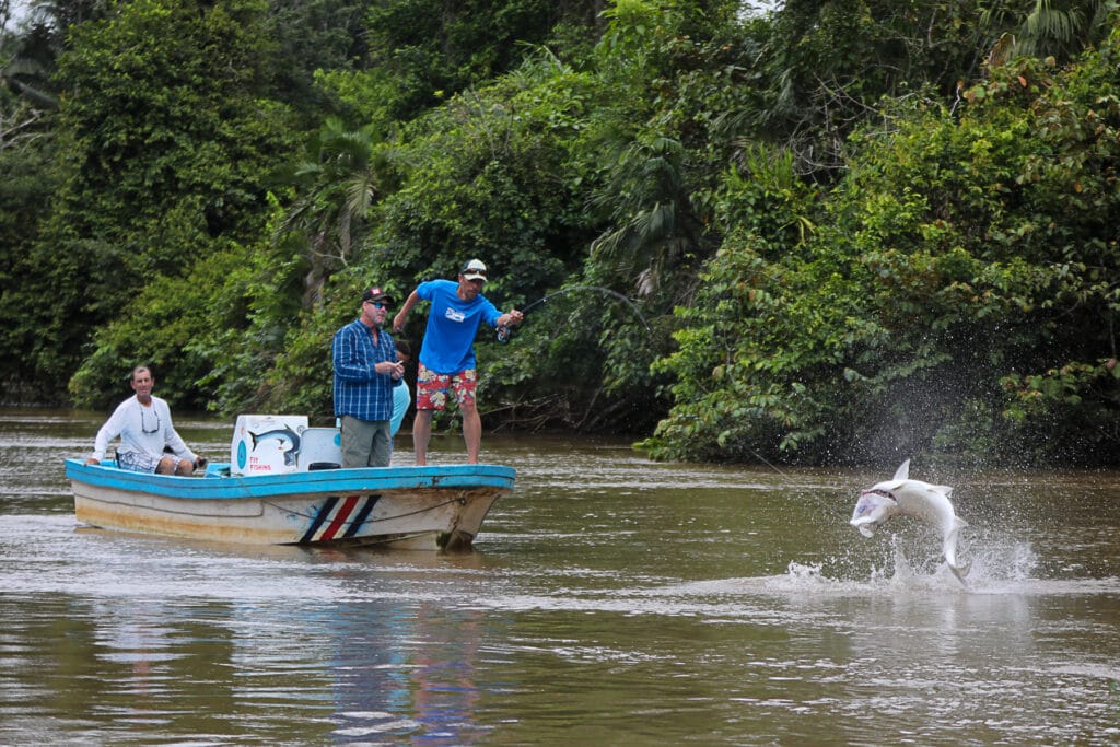 Jungle Tarpon Reserve, river tarpon fishing, Aardvark McLeod