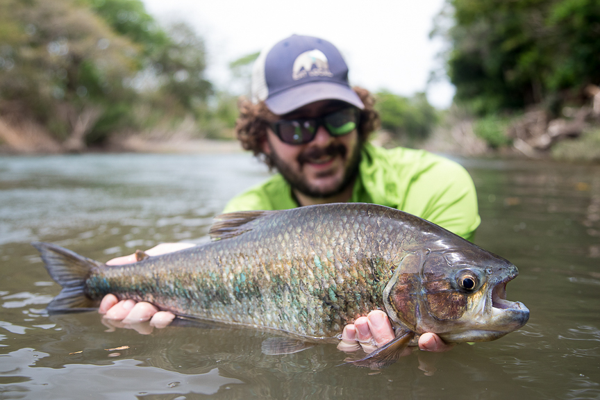 Jungle Quest, tarpon and machaca, Costa Rica fly fishing, Aardvark McLeod