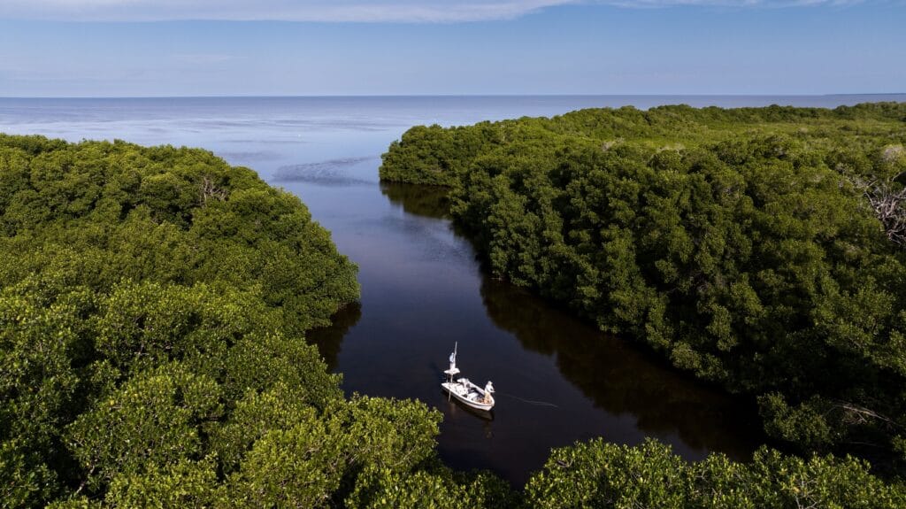 Casa Clorinda, tarpon fishing, fly fishing Mexico, tarpon fishing Mexico, Aardvark McLeod