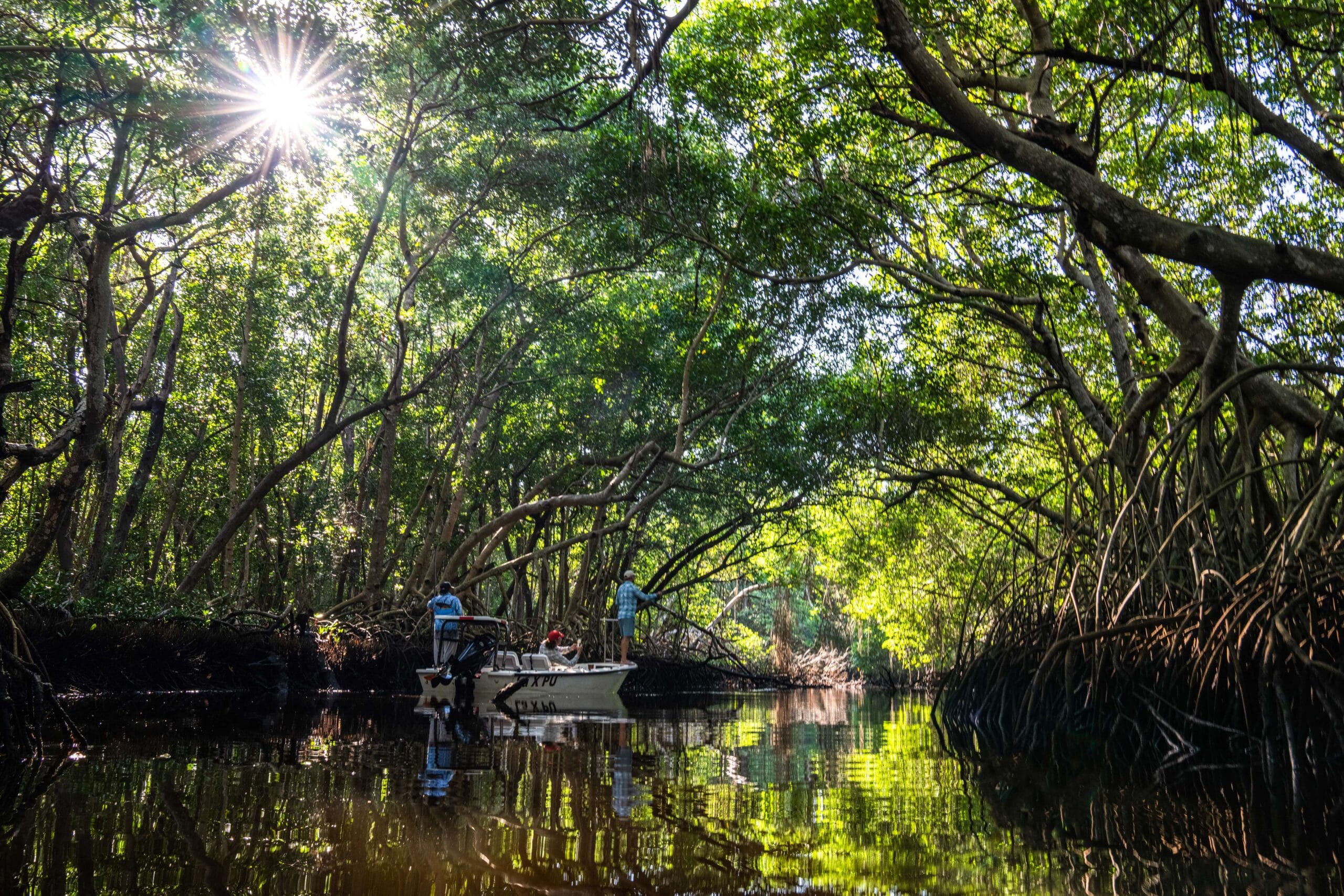 Casa Clorinda, tarpon fishing, fly fishing Mexico, tarpon fishing Mexico, Aardvark McLeod