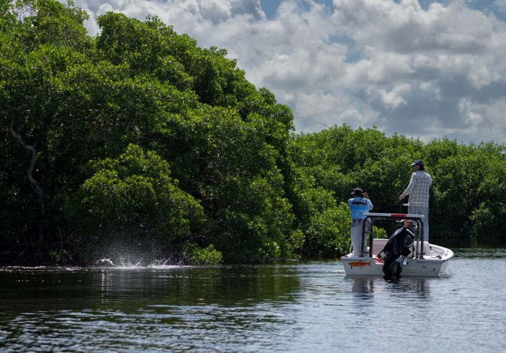 Casa Clorinda, tarpon fishing, fly fishing Mexico, tarpon fishing Mexico, Aardvark McLeod. What's new 