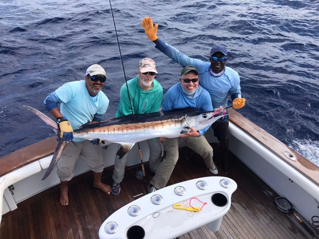 Billfish on the fly morocco