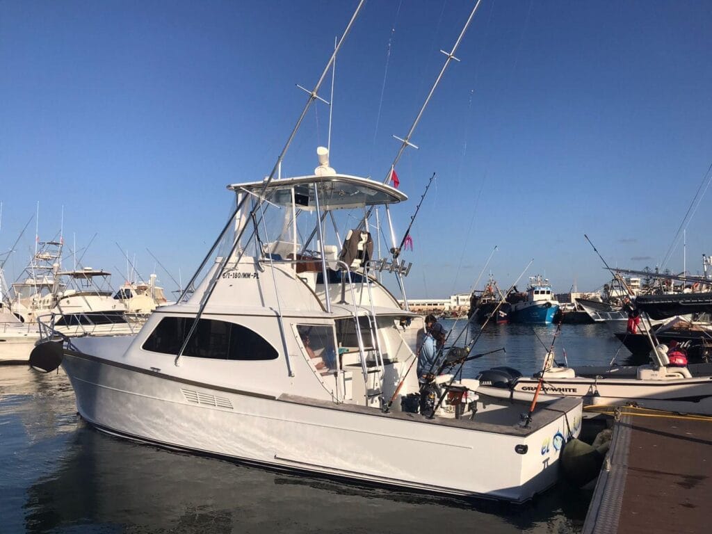 Billfish on the fly morocco