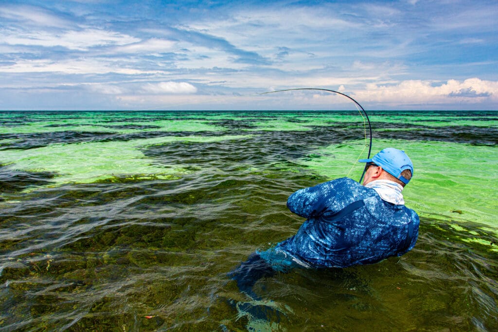 For the love of giant trevally